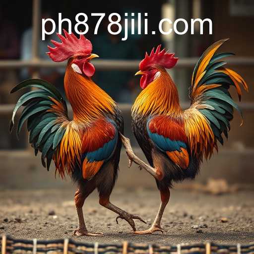 The Intricate World of Cockfighting: An Examination